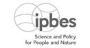Scapelyse includes ipbes